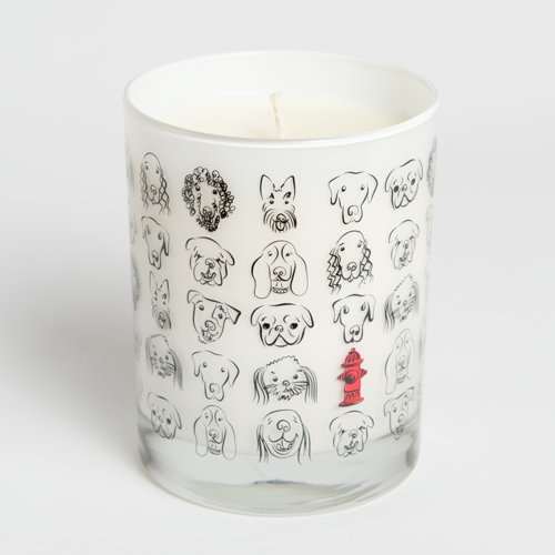 Acadian Candle Wet Dog Scented Jar Candle Wayfair